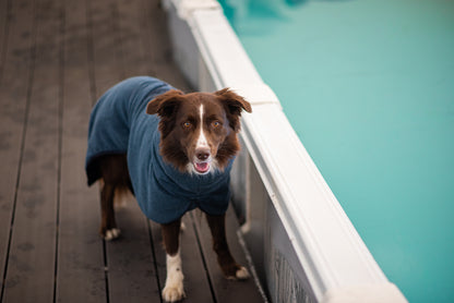 BathPomppa - der Hundebademantel