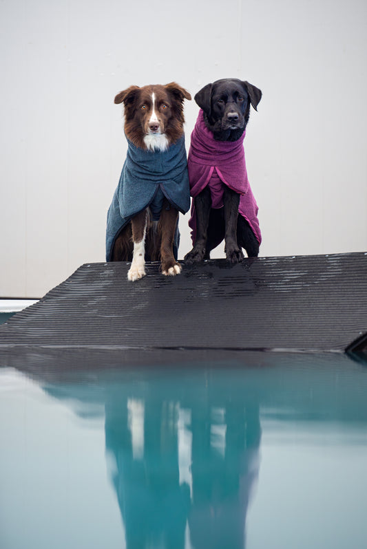 BathPomppa - der Hundebademantel