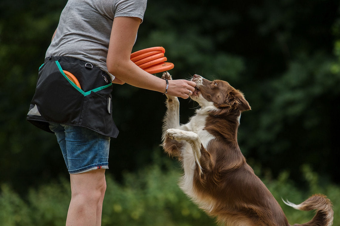 Trainingsröcke für Hundehalter - Ausverkauf