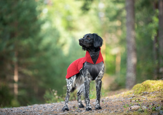 PolarPomppa - Limited Edtion